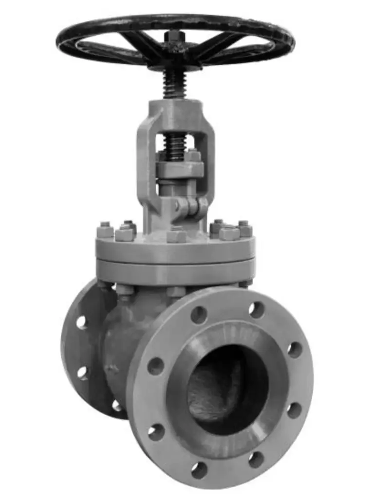 gate valve